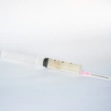 Liquid Culture of Psilocybe Cubensis - Albino Penis Envy