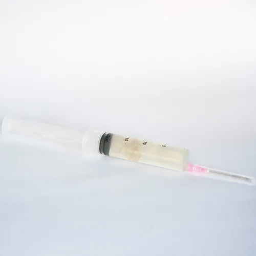 Liquid culture of Hericium erinaceus - Lion's Mane Mushroom