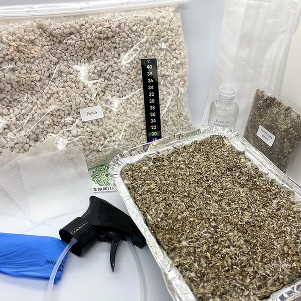 Kit de cultivo