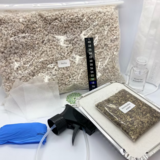 Psilocybe Cubensis Cultivation Kit - 500m (Full)