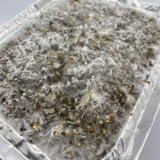 Psilocybe Cubensis Casing - Refill Kit